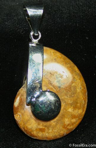 Whole Polished Ammonite Pendant #1198